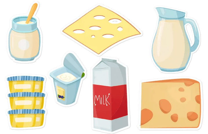 dairy products on the Dukan diet